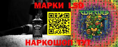 скорость Донской